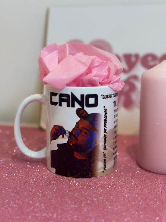 TAZA PANÓRAMICA DE CANO