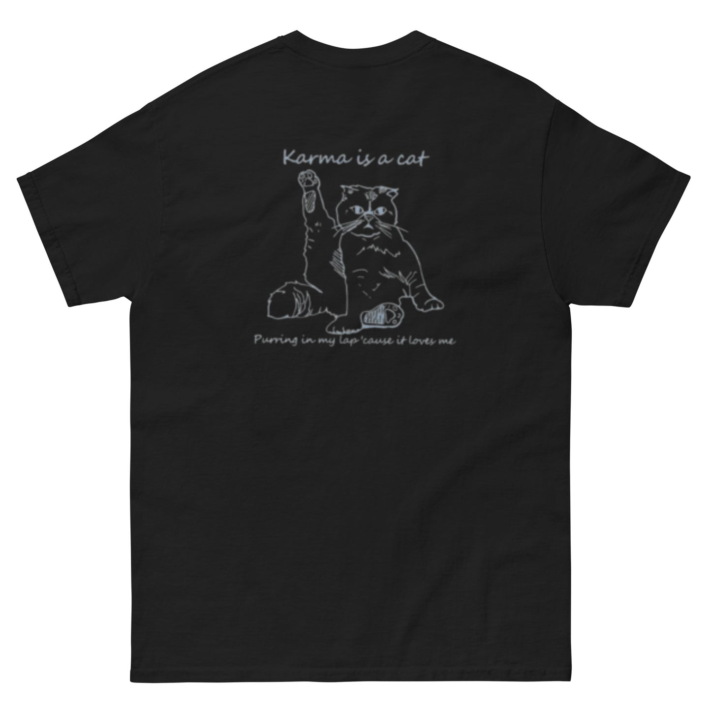 CAMISETA Ó SUDADERA "KARMA IS A CAT" DE TAYLOR SWIFT| Escoge entre camiseta ó sudadera