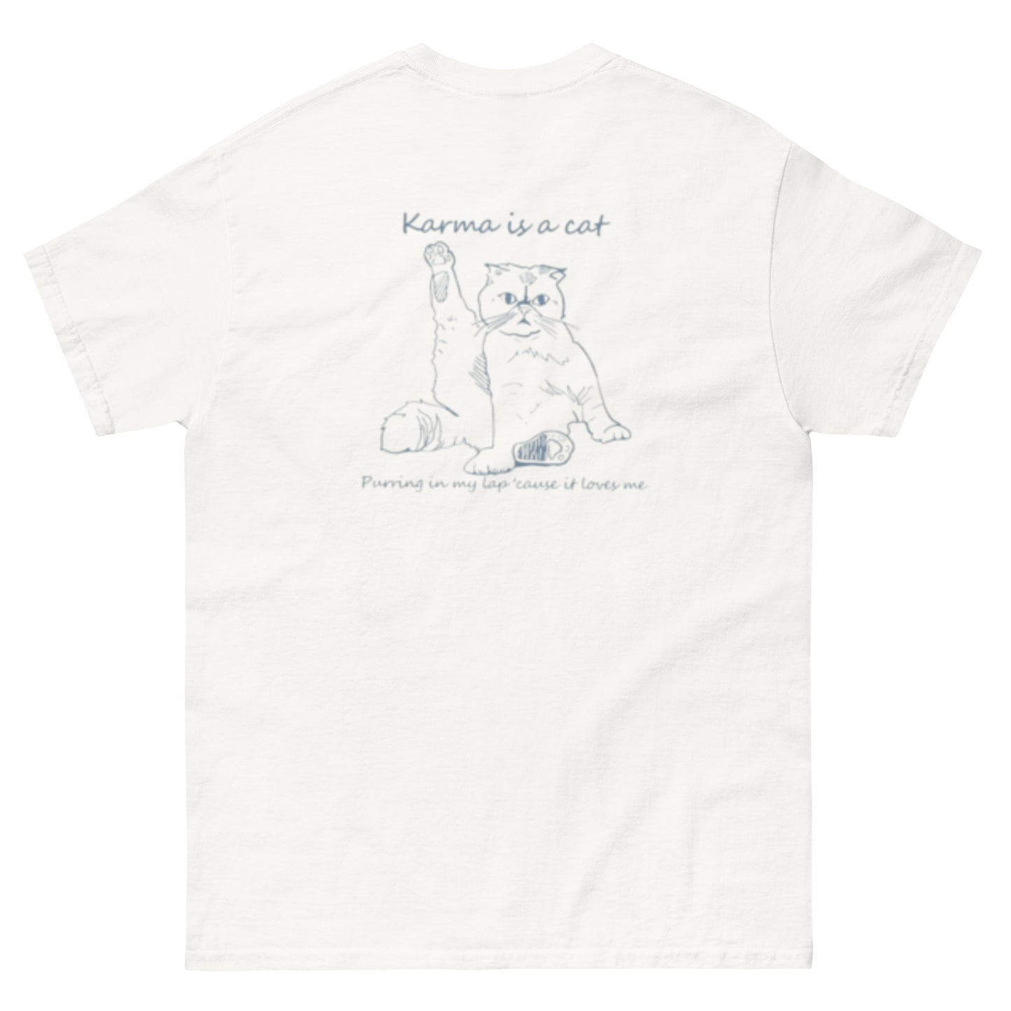 CAMISETA Ó SUDADERA "KARMA IS A CAT" DE TAYLOR SWIFT| Escoge entre camiseta ó sudadera