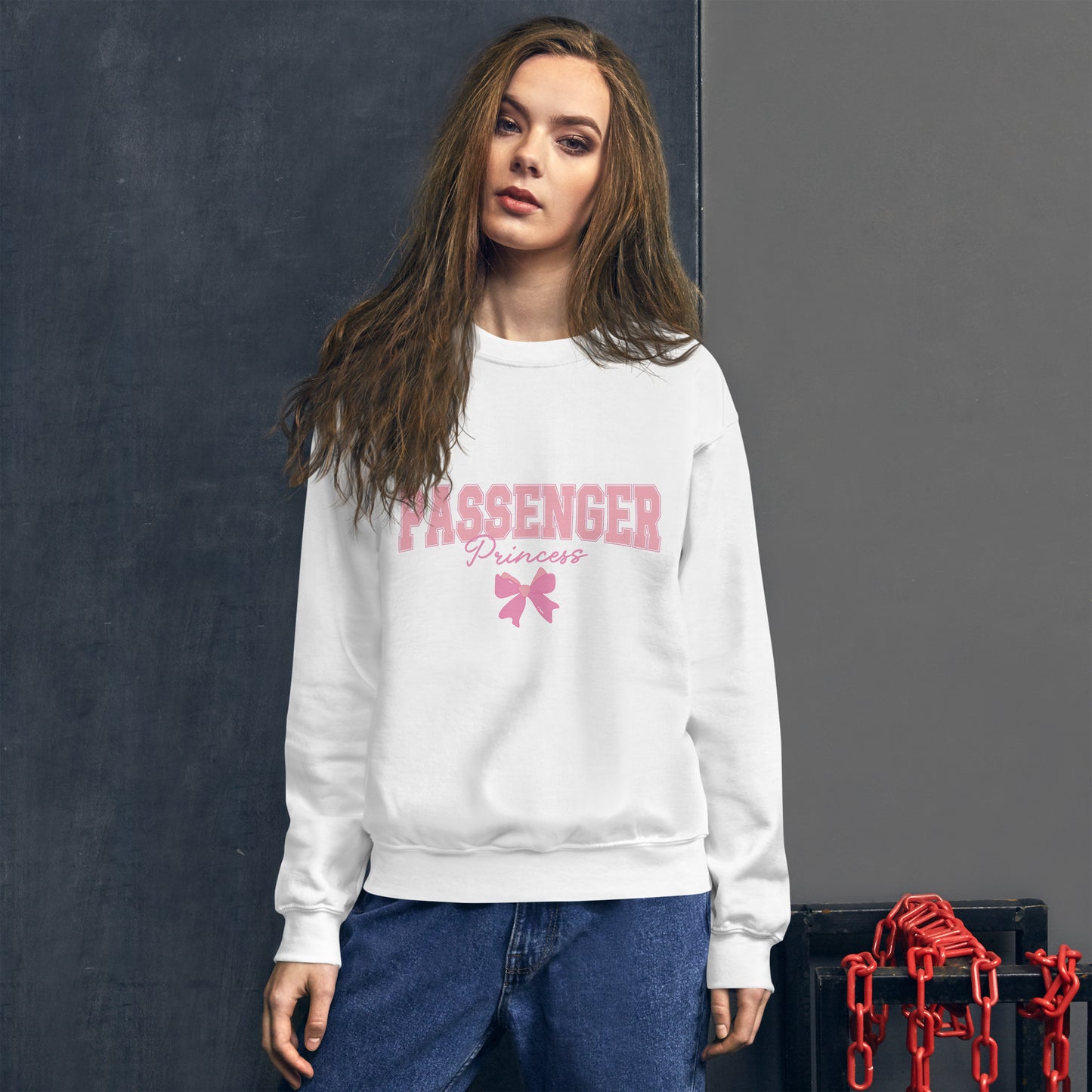 SUDADERA BÁSICA PASSENGER PRINCESS💖 | escoge el color de tu sudadera